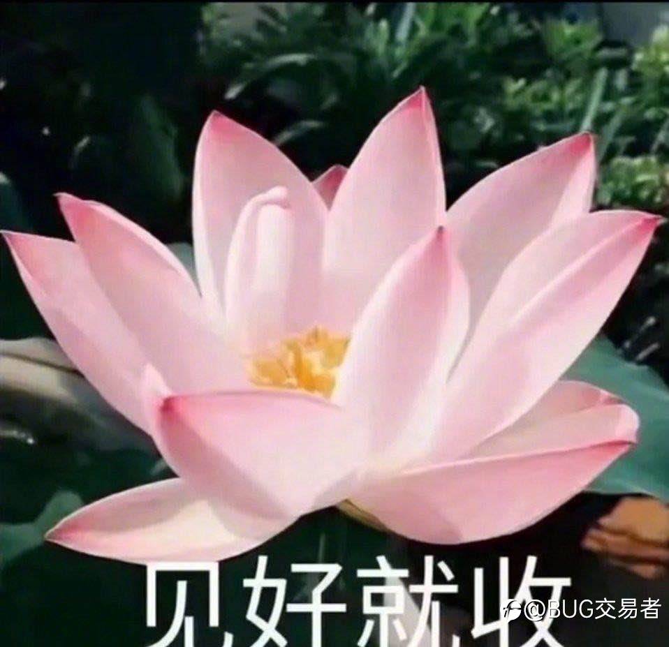 周初黄金走势观点
