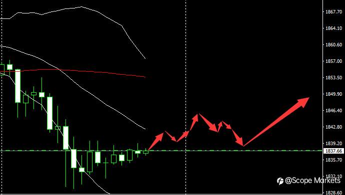 SCOPE MARKETS【市场早评】丨2021.02.03