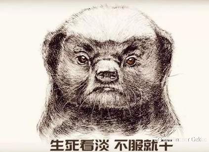 【交易员认知进化论系列】