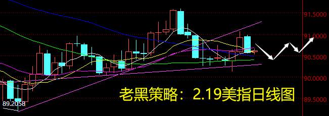 老黑策略：2.19外汇分析策略