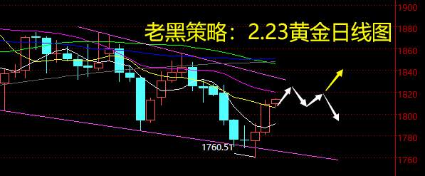 老黑策略：2.23黄金分析策略