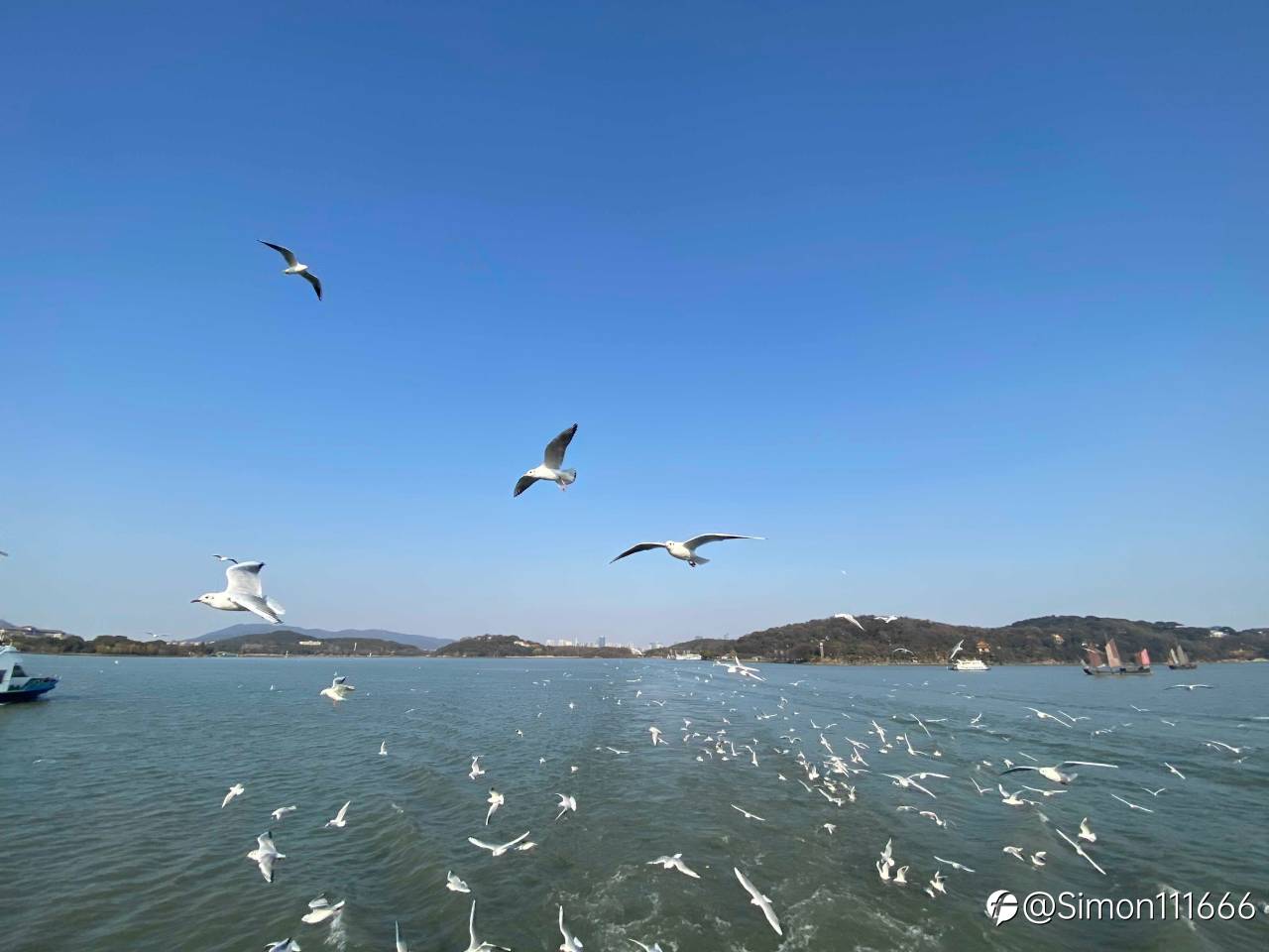 feed image