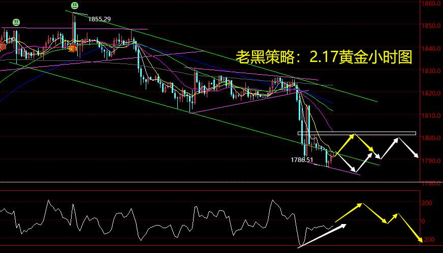 老黑策略：2.17黄金分析策略