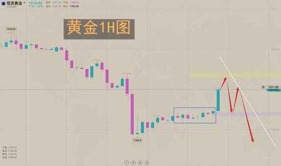 夏黛清：2.5黄金冲高乏力续看跌，原油冲高无惧！