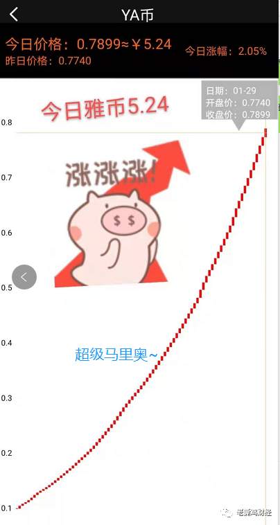雅视Yasion连公司都不存在，你告诉我是雅虎投资的？