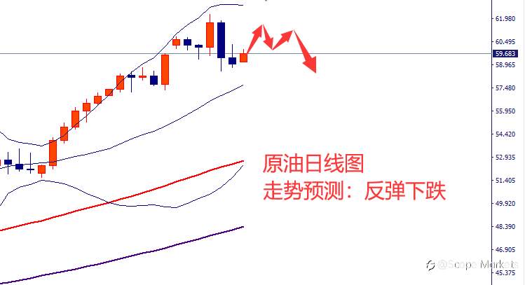 SCOPE MARKETS【市场周评】丨2021.02.22