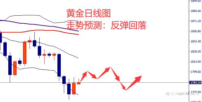 SCOPE MARKETS【市场周评】丨2021.02.22