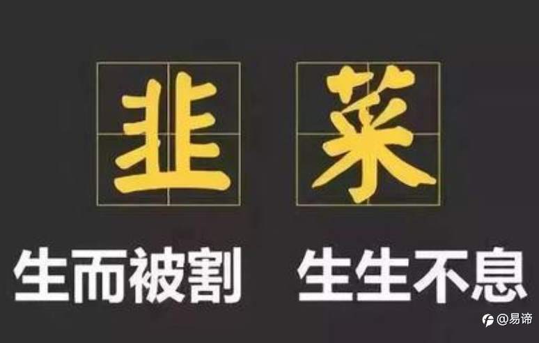 韭菜割了镰刀？想多了！