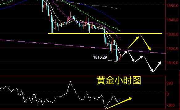 老黑策略：2.4晚盘外汇、黄金、原油分析策略