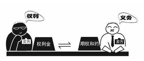 期权新手必看！一文为你讲明白期权的买方与卖方