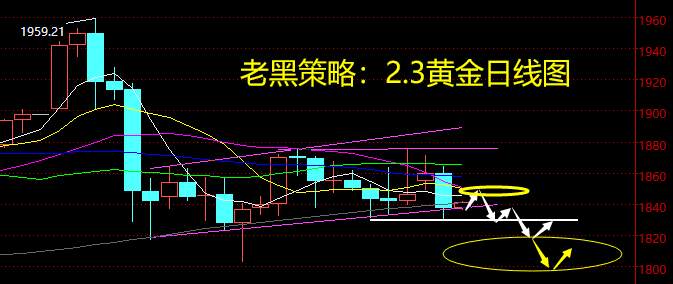老黑策略：2.3黄金分析策略