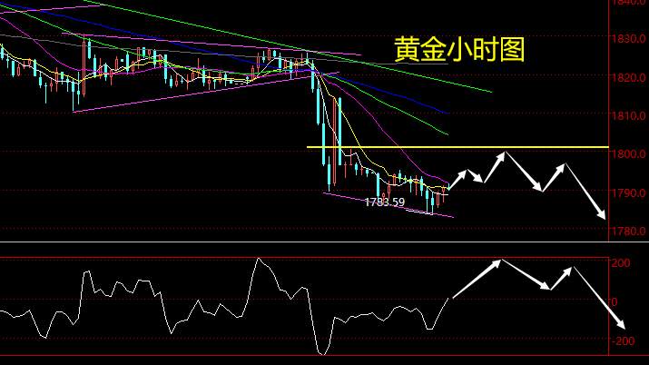 老黑策略：2.17晚盘外汇、黄金、原油分析策略