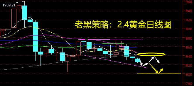 老黑策略：2.4黄金分析策略