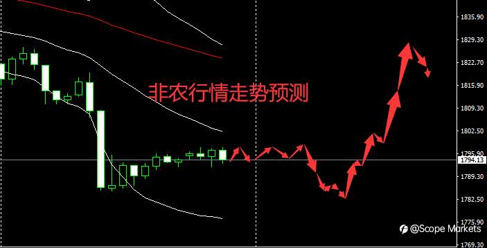 SCOPE MARKETS【非农特刊】丨2021.02.05