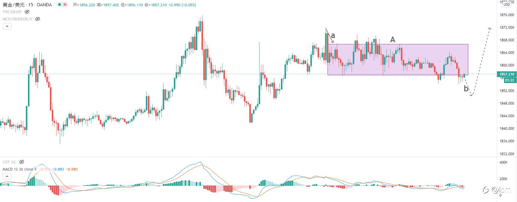 【Gold TC 02/02】白银期现价差大幅扩大显套利机会，黄金波动谨慎