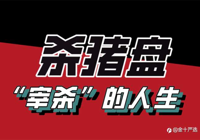 杀猪盘：那些“被宰杀”的人生