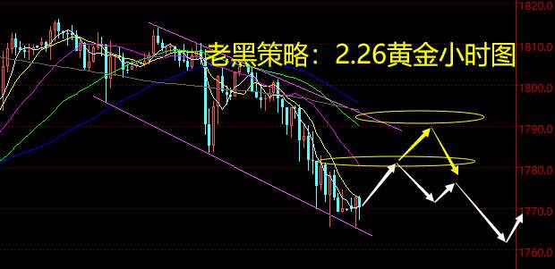 老黑策略：2.26黄金分析策略