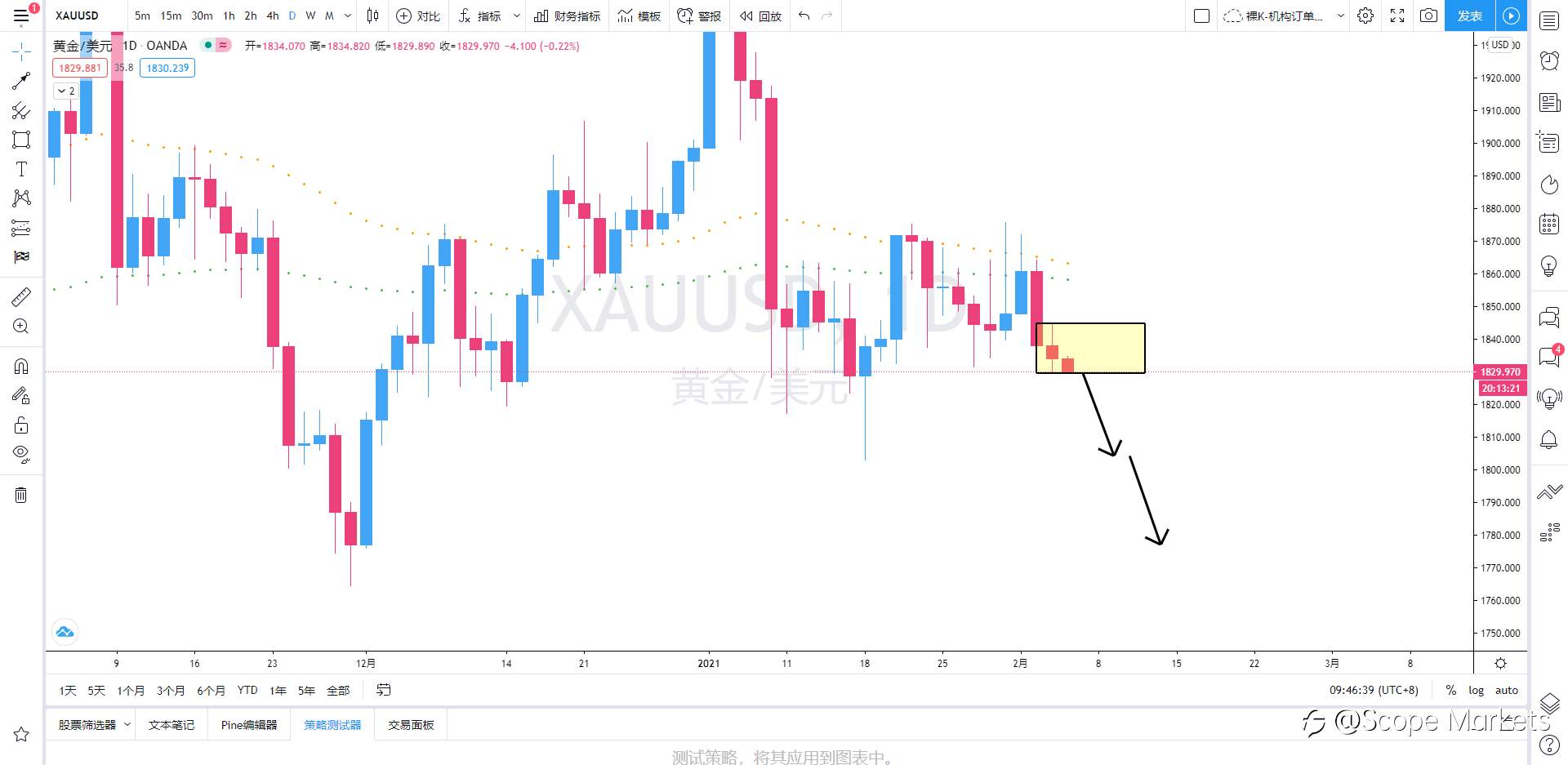 SCOPE MARKETS【策略研报】丨2021.02.04