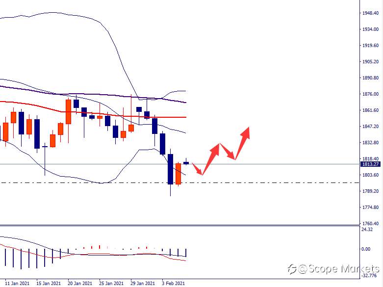 SCOPE MARKETS【市场周评】丨2021.02.08