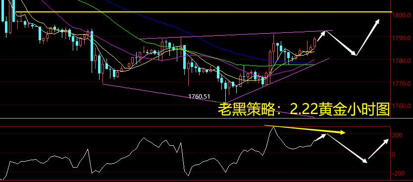 老黑策略：2.22黄金分析策略