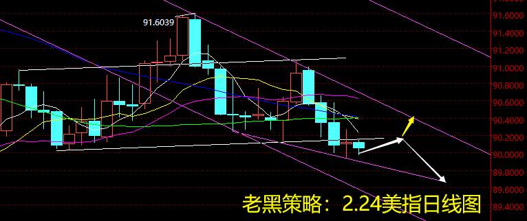 老黑策略：2.24外汇分析策略