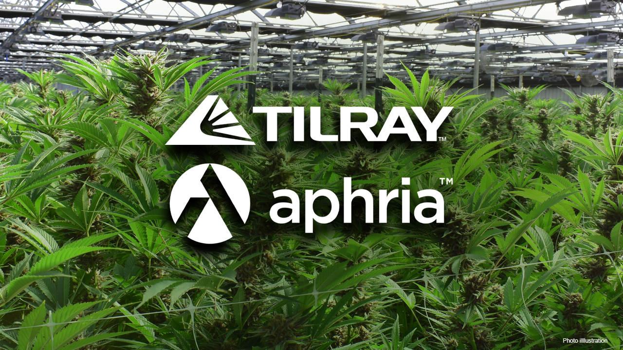 Cổ phiếu nổi bật trong tuần: Tilray - Công ty top đầu ngành kinh doanh cần sa