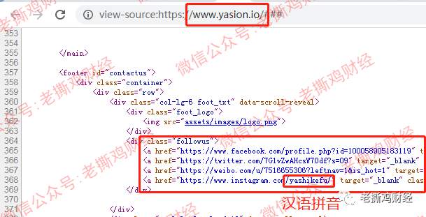 雅视Yasion连公司都不存在，你告诉我是雅虎投资的？