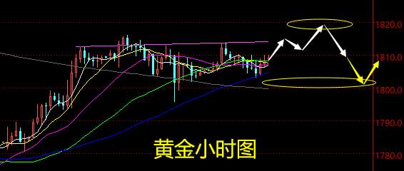 老黑策略：2.24晚盘外汇、黄金、原油分析策略