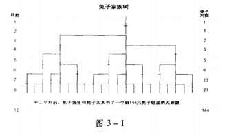 波浪理论 – 浓缩基础篇