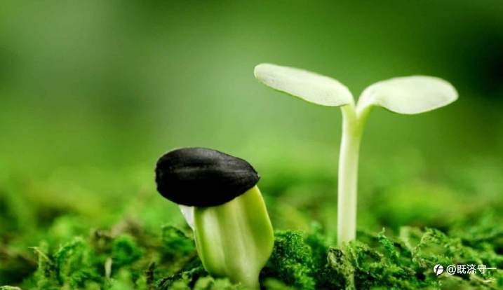 外汇和股票交易通论,可能是follow me上最专业交易底层逻辑,长篇连载三