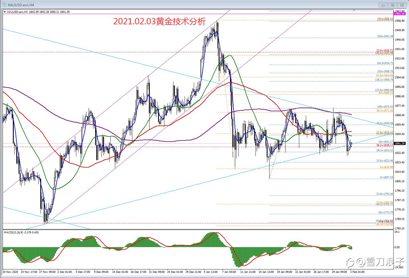 2021.02.03黄金技术分析