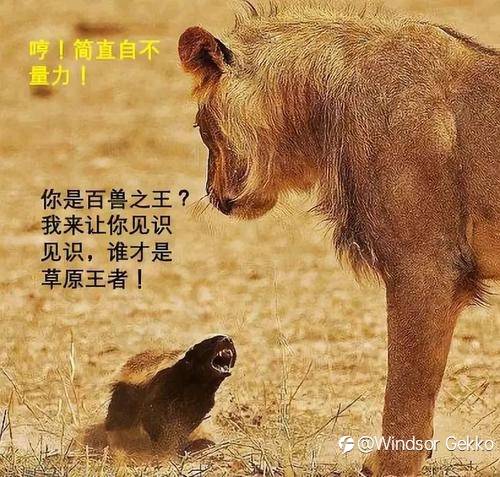 【交易员认知进化论系列】