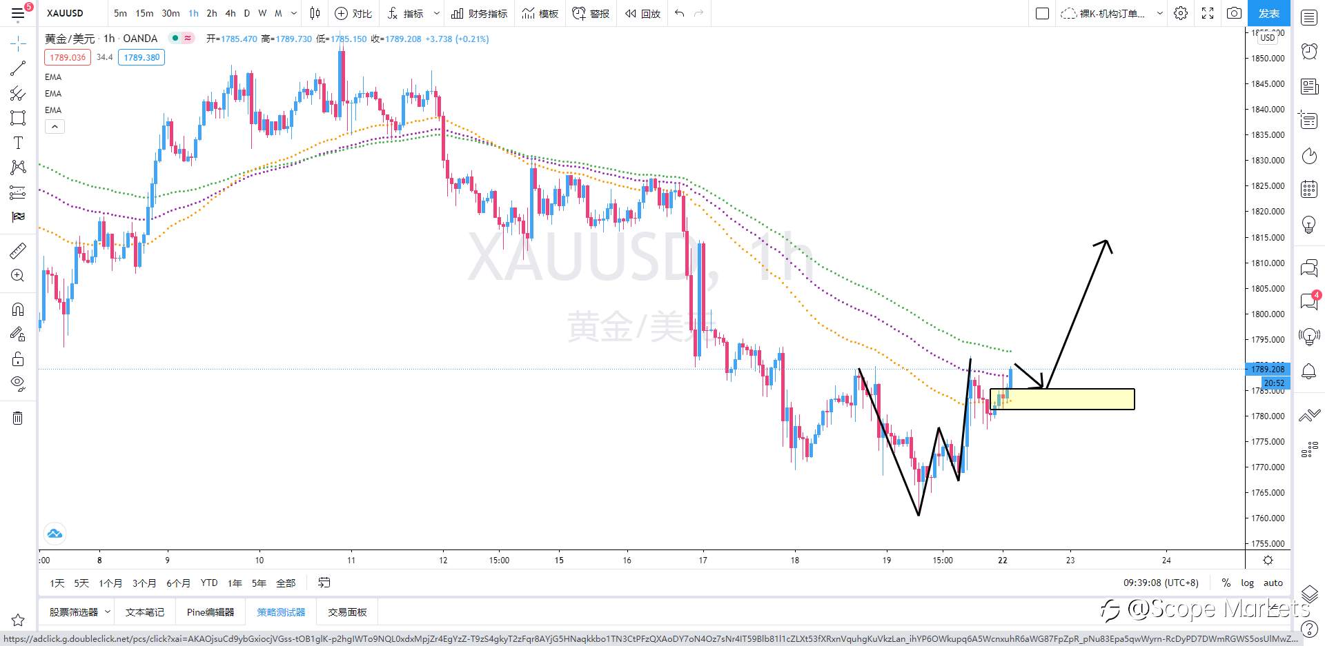 SCOPE MARKETS【策略研报】丨2021.02.22