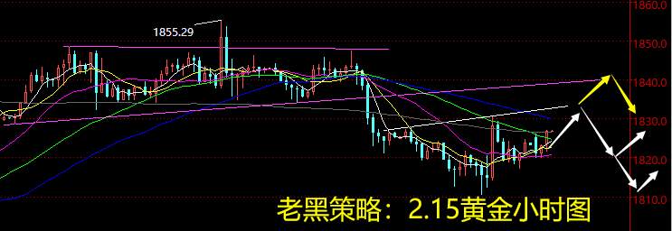 老黑策略：2.15黄金分析策略