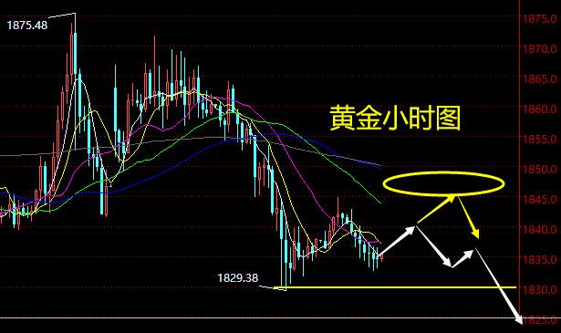 老黑策略：2.3晚盘外汇、黄金、原油分析策略