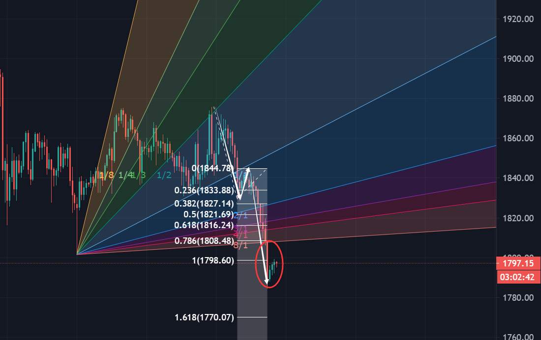 feed-image-1