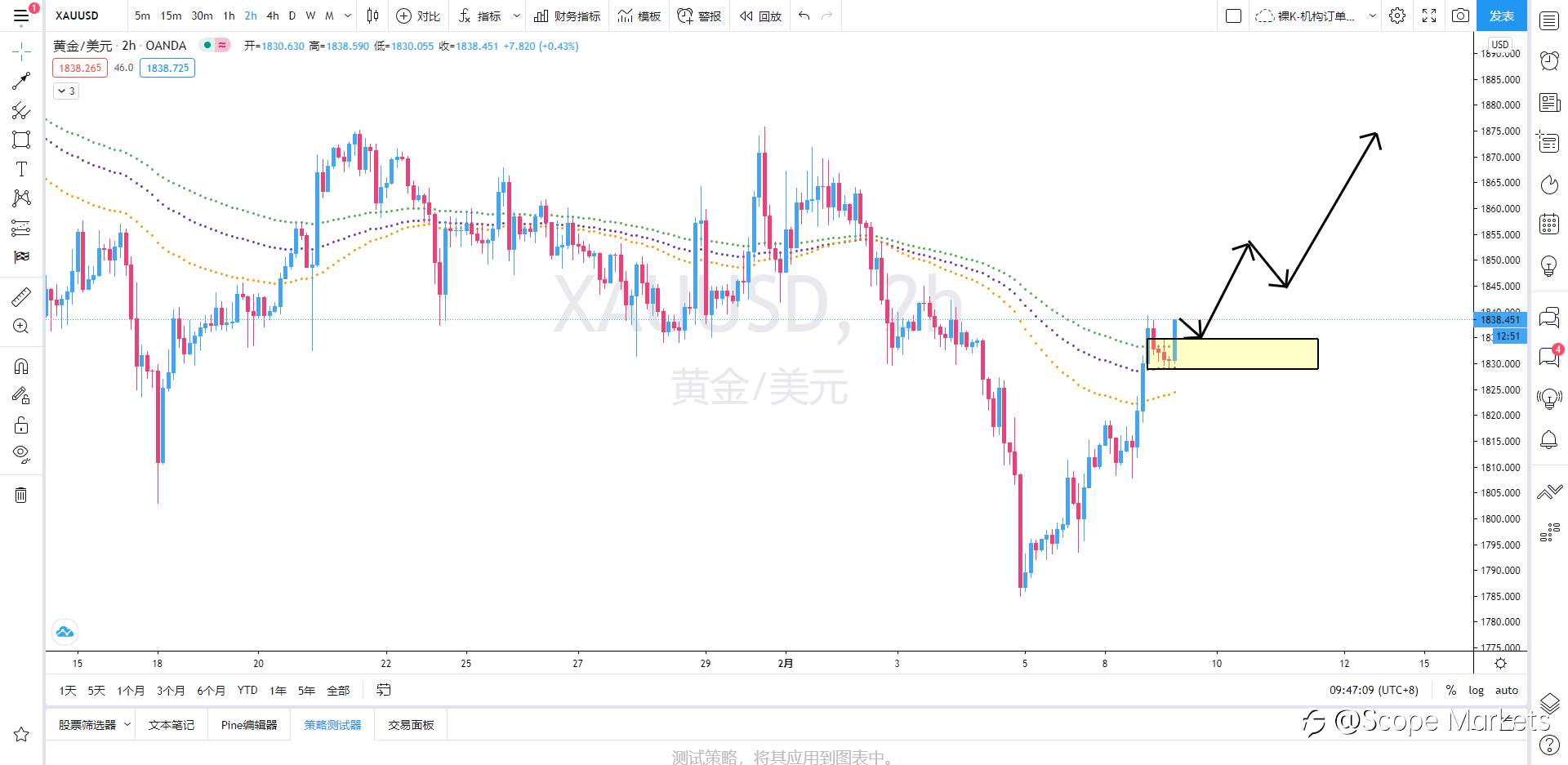SCOPE MARKETS【策略研报】丨2021.02.09