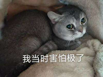 嘉树：黄金突破1840，做空的你慌了吗？