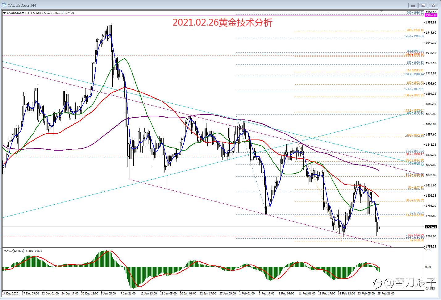 2021.02.26黄金技术分析