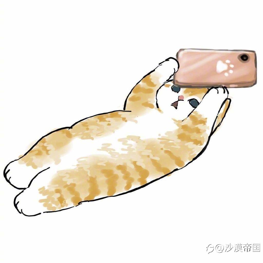 2021.2.26每日交易策略