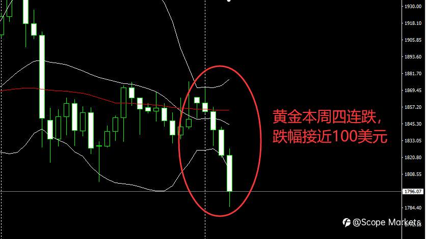 SCOPE MARKETS【非农特刊】丨2021.02.05
