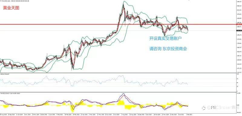 PRCBroker：2021年02月04日 今日汇评
