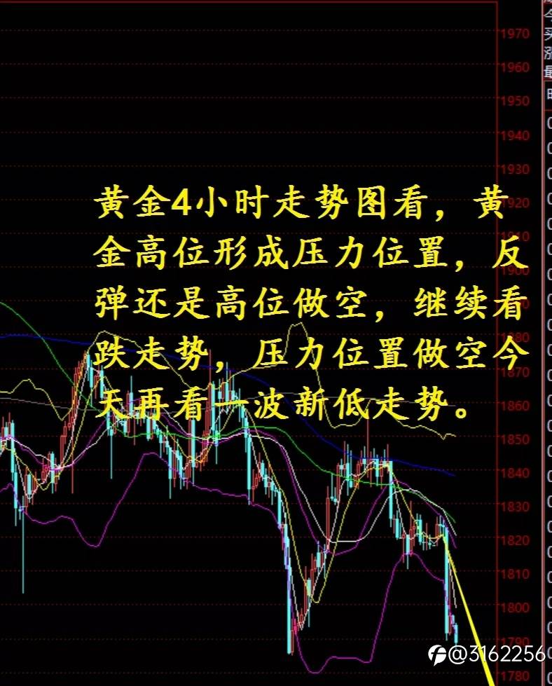 2.17伦敦金行情分析