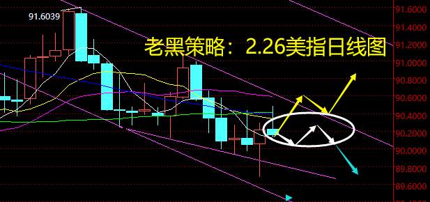老黑策略：2.26外汇分析策略