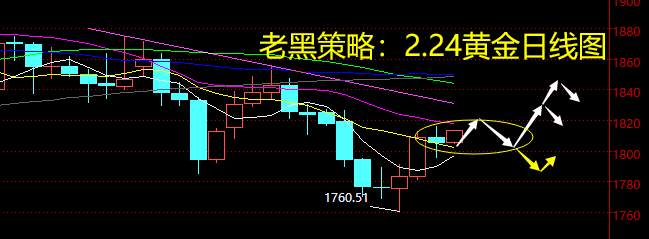 老黑策略：2.24黄金分析策略