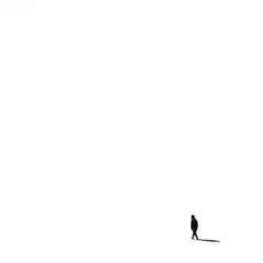 开奖丨FOLLOWME 用户的年度交易关键词是什么?