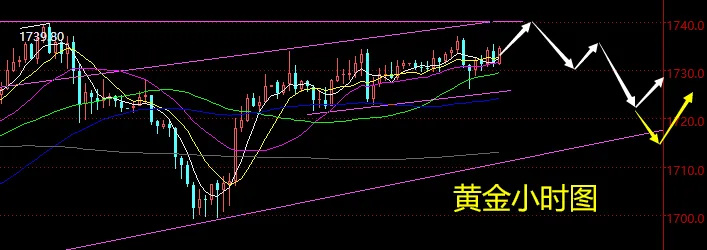 老黑策略：3.16晚盘外汇、黄金、原油分析策略