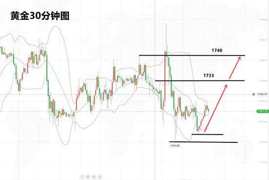 白灵雁：3.26黄金回落1723之上做多