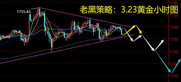 老黑策略：3.23黄金分析策略