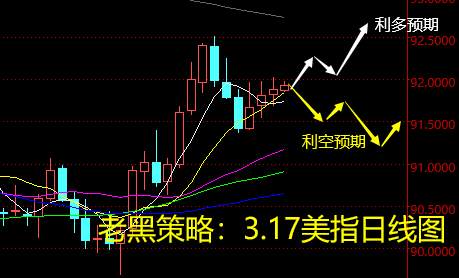 老黑策略：3.17外汇分析策略